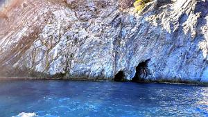 De Rosas a Cadaques 47